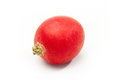 Free One Radish Royalty Free Stock Images - 8410799