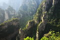 Free Landscape Of ZhangjiaJie National Geologic Park Stock Image - 8411271