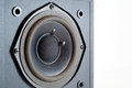 Free Bass Dynamic Royalty Free Stock Photography - 8414997