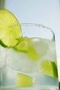 Free Close Up Cool Freshness Coctail Royalty Free Stock Photos - 8419148
