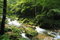 Free Rivulet In The Forest In ZhangjiaJie National Park Stock Images - 8410964