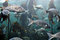 Free Underwater Scene. Stock Photography - 8417322