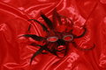 Free Red Mask On Red Silk Royalty Free Stock Photography - 8424587