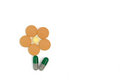Free Flower Of Health Royalty Free Stock Photo - 8426525