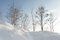 Free Winter Landscape Royalty Free Stock Images - 8421839