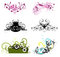Free Flower Background Royalty Free Stock Image - 8426516