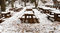 Free Winter In The Mountain Park Stock Photos - 8427503