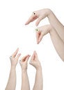 Free Feeding Royalty Free Stock Photo - 8435635