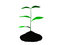 Free Small Plant Royalty Free Stock Image - 8430246