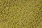Free Grean Beans Texture Stock Photos - 8436283
