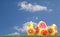 Free Floral Easter Eggs Stock Image - 8437571
