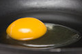 Free Raw Egg In Pan Royalty Free Stock Photos - 8440058