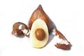 Free Salak Fruit Royalty Free Stock Image - 8442786