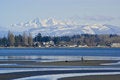 Free Man Walking Dogs On The Beach Royalty Free Stock Photos - 8444148