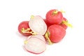Free Radish Isolated Royalty Free Stock Images - 8447909