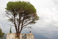Free Girl Waiting Under A Pinetree Royalty Free Stock Images - 8449949