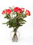 Free Vase Of Roses Royalty Free Stock Image - 8440526