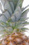 Free Macro Of A Pineapple Royalty Free Stock Image - 8442996