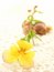 Free Yellow Flower On Crochet With Snail Shells Royalty Free Stock Photo - 8444375