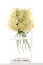Free Rose Royalty Free Stock Photo - 8453065