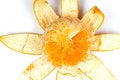 Free Slice Orange With Peel Stock Photography - 8454502