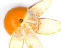 Free Orange, Half Without Peel Royalty Free Stock Images - 8454839