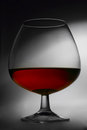Free Brandy Glass Stock Photo - 8456080