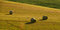 Free Three Bals Of Hay Stock Photography - 8456522
