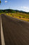 Free The Street Stock Photos - 8456523