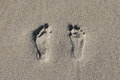 Free Two Footprints In The Sand Stock Photo - 8467140
