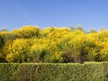 Free Spring Has Come Royalty Free Stock Images - 8476579