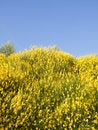Free Spring Has Come Stock Images - 8476584