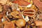 Free Seeds Royalty Free Stock Photos - 8477268
