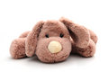 Free Puppy Dog Toy Stock Photos - 8480573