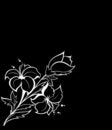Free Floral Background Stock Images - 8481164