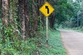 Free Left Curve Ahead Stock Photography - 8489152