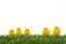 Free Family Of Yellow Chicks Stock Photo - 8485850