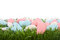 Free Easter Almonds Candy Stock Photos - 8485913