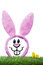Free Illustration Of Funny Rabbit Royalty Free Stock Image - 8485946
