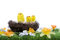 Free Baby Chicks Sitting In Nest Stock Image - 8485961