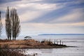 Free Drayton Harbour Wildlife Sanctuary Stock Photography - 8498902