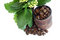 Free Roasted Coffee Beans Isolated Royalty Free Stock Photography - 8490977