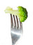 Free Fork With Broccoli Royalty Free Stock Image - 8498796