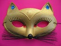 Free Cat Mask 1 Stock Photo - 854870