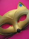 Free Cat Mask 2 Royalty Free Stock Photos - 856448