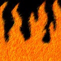 Free Furry Flame Effect Stock Image - 858601