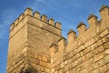 Free Alcazar In Seville, By The Plaza De Triunfo Stock Photos - 859693