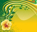 Free Floral Background Stock Photo - 8503140
