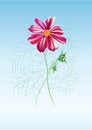 Free Postcard Royalty Free Stock Images - 8504199
