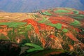 Free Red Soil Stock Images - 8508864